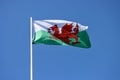 Welsh flag in wind