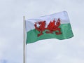 Welsh flag in wind