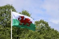 Welsh flag in wind