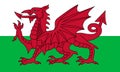 Wales flag, red dragon on the white and green. National flag of wales official colors and the aspect ratio of 3 5