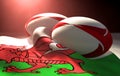 Wales Flag And Rugby Ball Pair