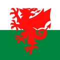 Wales football federation logo with national flag