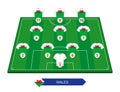 Wales football team lineup on soccer field for European football