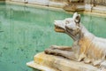 She walf detail of Fonte Gaia is monumental fountain in Piazza del Campo in Siena. Italy Royalty Free Stock Photo