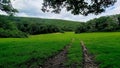 Walk across the Walkham DARTMOOR-NATIONAL-PARK DEVON