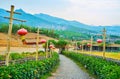 The alley with red lanterns, Santichon, Thailand Royalty Free Stock Photo