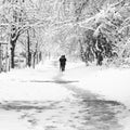 Walk alone in the snow
