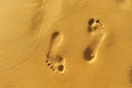 Walk along the beach, footprints in the golden sand Royalty Free Stock Photo