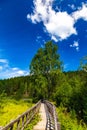 walk along ecotrope in forest or on the swamp and lake. autumn landscape in the suburbs. there are no people on the Royalty Free Stock Photo