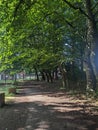 A walk along the nature trailway