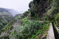 Walk along the paths of Levada Nova, Madeira