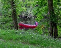 Walk along the River Dart Royalty Free Stock Photo