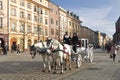 Walk around Krakow in carriages