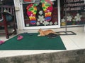 Walk around Phuket Town & x28;the capital of the island& x29;. Random photos. Cats is waiting massage.