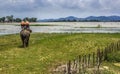 Walk on the Asian elephants, Daklak, Vietnam.