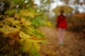 Silhouette of a girl with an umbrella walking along a path with brown leaves