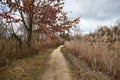 Walk in the autumn lakeside park Royalty Free Stock Photo