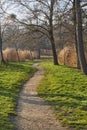 Walk in the autumn lakeside park Royalty Free Stock Photo