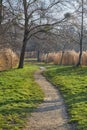 Walk in the autumn lakeside park Royalty Free Stock Photo