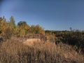 Autumn landscape with trees. Royalty Free Stock Photo