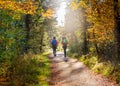 walk autumn morning hikers path hiking walking nature trail park hike exercise Royalty Free Stock Photo