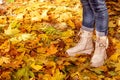 Walk in the autumn park. Female legs in boots against a background of yellow autumn fallen leaves. Royalty Free Stock Photo