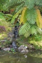 Walk on the Azores archipelago. Discovery of the island of Sao Miguel, Azores. Furnas Royalty Free Stock Photo