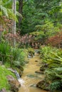 Walk on the Azores archipelago. Discovery of the island of Sao Miguel, Azores. Furnas Royalty Free Stock Photo