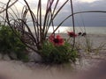 Flower grass sand and the beach