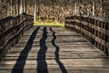 Walk Bridge Over Creek Royalty Free Stock Photo