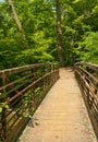 Walk Bridge Over Creek Royalty Free Stock Photo