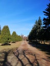 Walk in the Park among the trees