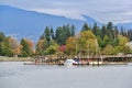 Walk in Coal Harbour enjoying Autumn Color, wildlife, Downtown, Vancouver, British Columbia