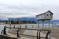 Walk in Coal Harbour enjoying Autumn Color, wildlife, Downtown, Vancouver, British Columbia