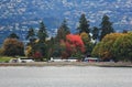 Walk in Coal Harbour enjoying Autumn Color, wildlife, Downtown, Vancouver, British Columbia