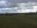 Walk through the countryside passing sheep and church steeples