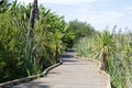 Walk and cycleway through Matua Salt Marsh Royalty Free Stock Photo