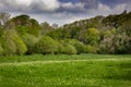 Walk along the River Dart Royalty Free Stock Photo