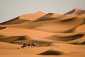 Chôdze v púšť 