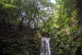 Walk and discover the prego salto waterfall on the island of sao miguel, azores