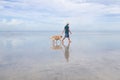 Walk with dogs by the sea in the morning on the beach Royalty Free Stock Photo