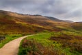 Walk dove stone Royalty Free Stock Photo