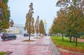 The autumn oaks and lindens on Volodymyrska Street, Kyiv, Ukraine