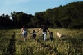 Walk with family and shepherd in park. Mother and daughter in dresses run next to father and son through green chamomile field at Royalty Free Stock Photo