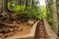 Walk in a forest. Trail to Multnomah Falls near Portland, Oregon Royalty Free Stock Photo