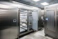 walk-in freezer, filled with block of ice and frozen foods