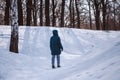 Walk on frosty winter day. Young Caucasian woman in warm clothes stand on snow-covered road in forest among tall trees Royalty Free Stock Photo