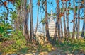 In garden of Bagaya Monastery, Ava, Myanmar Royalty Free Stock Photo