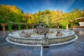 Walk in a garden at sunset in winter Royalty Free Stock Photo