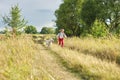 Walk girl with dog in nature, run child with pet in sunny meadow